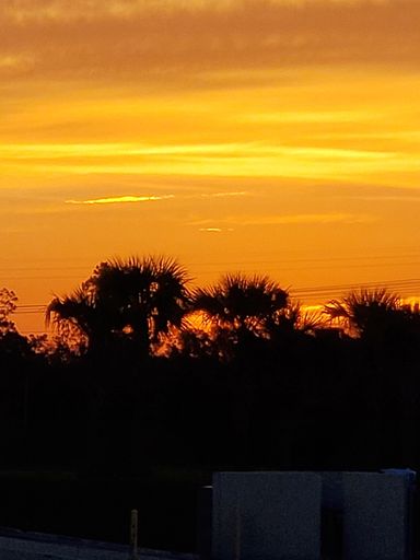 A vertical silhouette shot of trees with beautiful orange clouds in the background during sunset