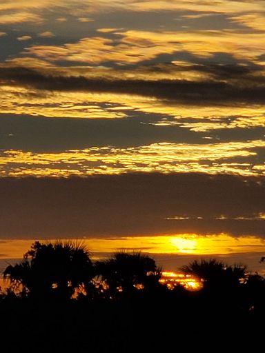 A vertical shot of a mesmerizing sunset with the silhouette of trees in the background