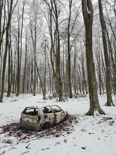 A vertical shot of an abandoned car found in a forest during winter