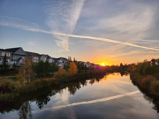 An aerial view of river surrounded by buildings and dense trees during sunset