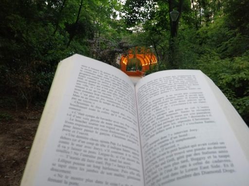 a closeup of an open book in a green park