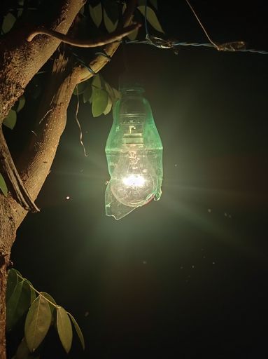 A decorative lamp in the garden glowing in the darkness