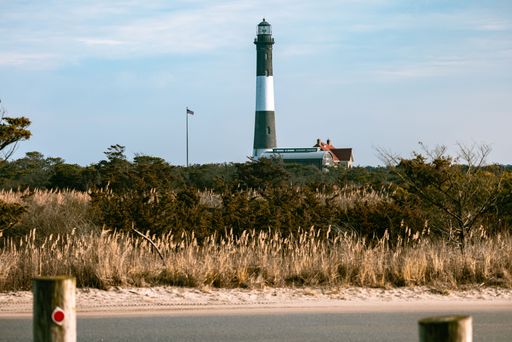 A beautiful shot of a lighthouse surrounded by vegetation near a road
