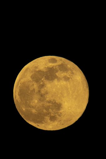 A vertical shot of a round golden shining full moon in a black night sky