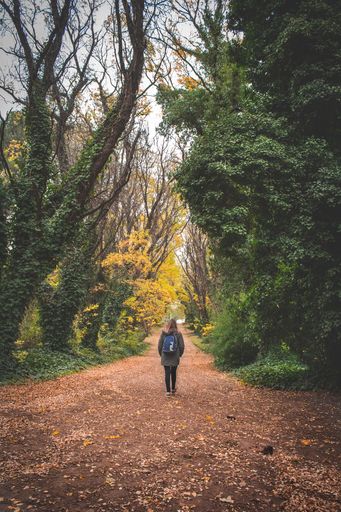 young woman walking in the forest