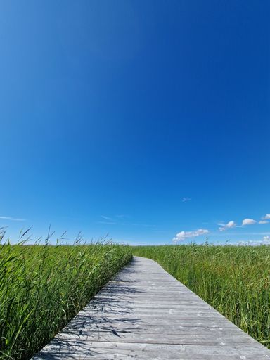 A vertical shot of a wooden boardwalk across a grassy green field under a blue sky