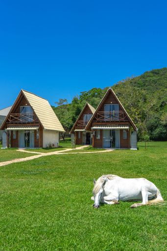 A white horse lying on a grassy meadow with cottage buildings in the background on a sunny day