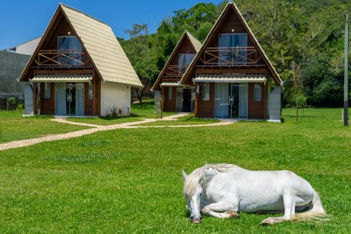 A white horse lying on a grassy meadow with cottage buildings in the background on a sunny day