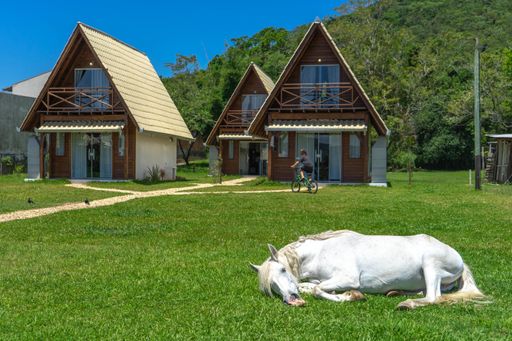 A white horse lying on a grassy meadow with cottage buildings in the background on a sunny day