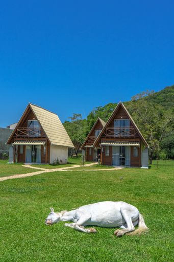 A white horse lying on a grassy meadow with cottage buildings in the background on a sunny day