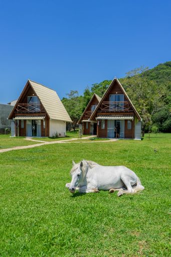 A white horse lying on a grassy meadow with cottage buildings in the background on a sunny day