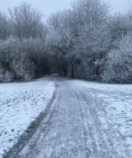 A vertical shot of snowy landscape with trees and misty sky