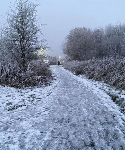 A vertical shot of snowy road with frozen trees and misty sky