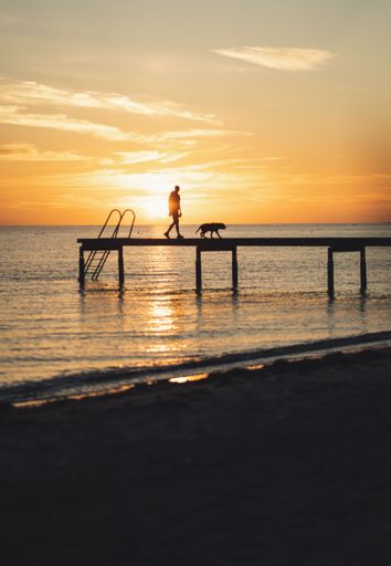 A vertical shot of a man and his dog silhouette walking on a pier at sunset