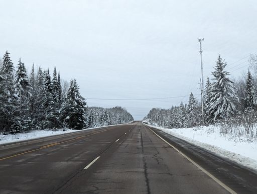 A view from a car to an asphalt road with snowy ground and trees in the winter