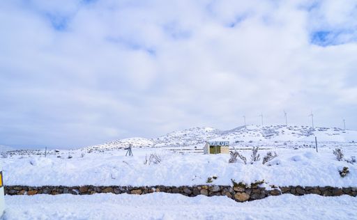 A beautiful winter landscape with leafless trees covered in snow under a cloudy sky
