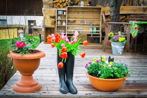 The classic country garden country terrace with the first spring flowers tulips.  typical cottage garden.