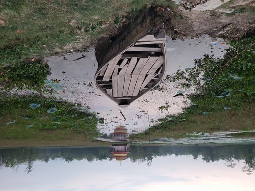 An abandoned wooden boat on the shore of a marsh