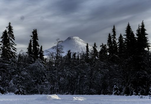 A beautiful shot of a snowy volcano behind pine trees in Dalarna County, Sweden