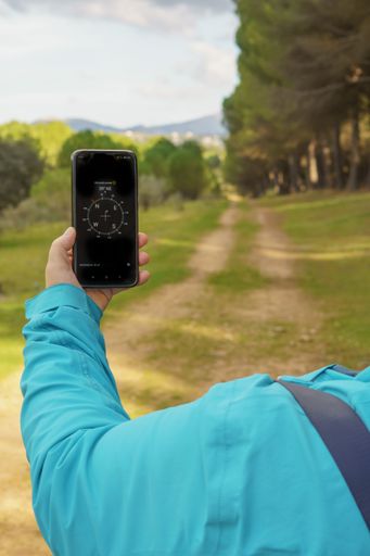 woman orienting herself in the forest with her smart phone's compass following a trail in the pine forest