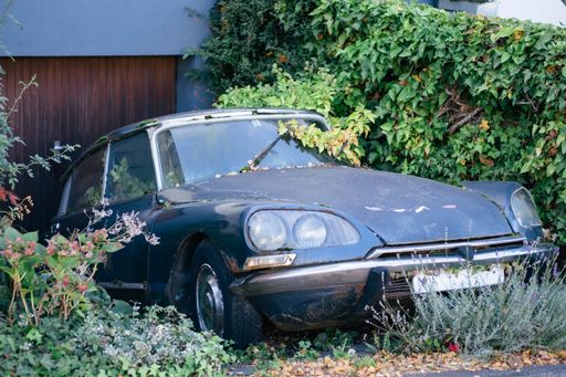 An old vintage car stands in an overgrown driveway. The plants bushes and shrubs overgrow the retro car. It is vintage and nostalgic.