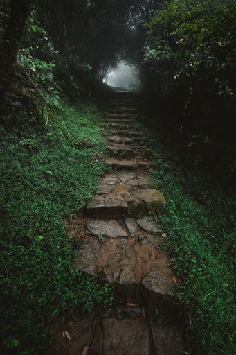 A mist trail leading to the top of the mountain
