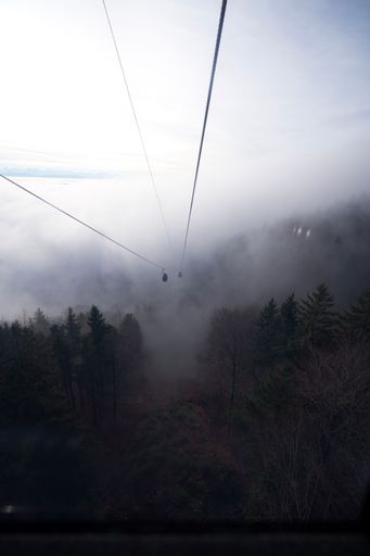A gondola cable car suspended in air over the lush tree canopy as it ascends a steep mountain in Switzerland