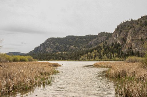 A beautiful shot of Vaseux lake with mountains in the background in Canada on a cloudy day