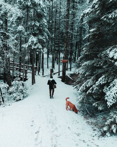 A winter walk on the beautiful Dobson Trail in Riverview, New Brunswick, Canada