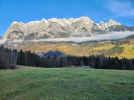 A beautiful nature scene with a green field full of pine trees surrounded by rocky mountains in the daytime
