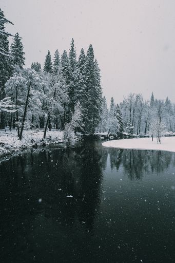 A tranquil scene featuring a picturesque winter landscape with a body of water in Yosemite Valley
