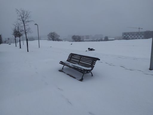 A bench on a field covered in snow on a foggy day, with a dog in the background