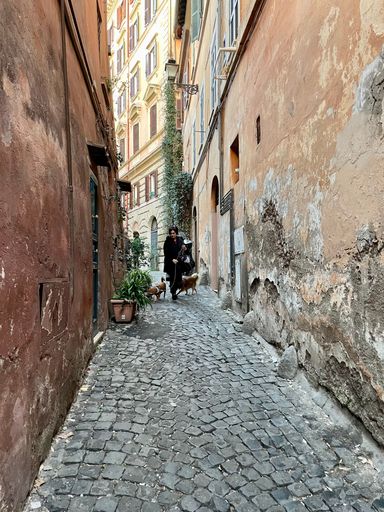 A beautiful view of a narrow street in Rome in Italy