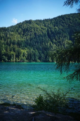 A vertical shot of a crystal clear lake with mountains covered with trees in the background, Austria
