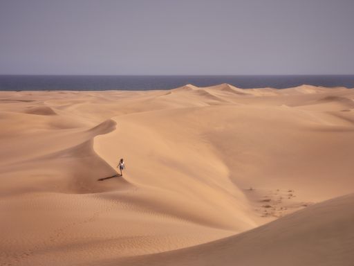 A high angle shot of a lady walking in the desert near the blue sea alone
