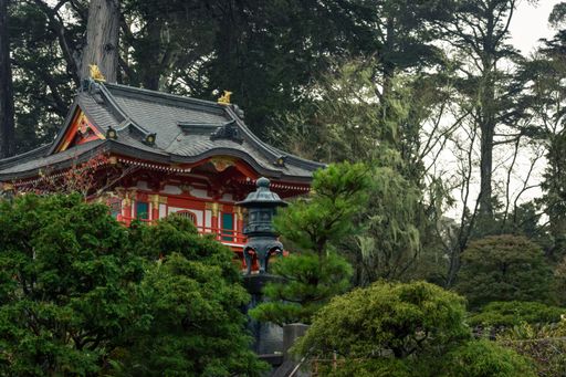 A beautiful view of a Japanese tea house at the Golden Gate park in San Francisko, United States