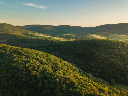 A beautiful landscape of tree-covered hills under the clear sky at sunset