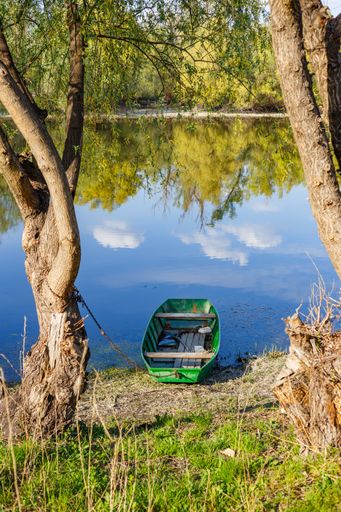 A vertical shot of a calm lake with a small boat surrounded by trees
