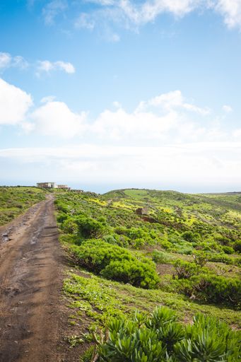 A closeup of a narrow trail passing through the scenic green valley