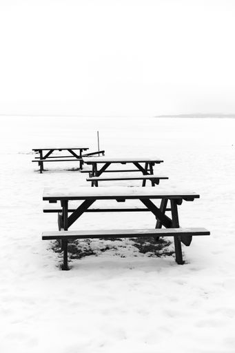 A vertical grayscale shot of country table-benches in a snowy field