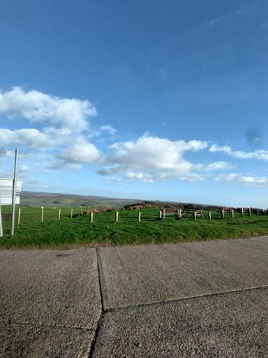A vertical shot of wooden pilings and bench in lush green field under blue cloudy sky