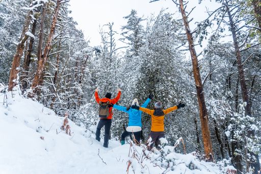 A back view of a group of hikers standing in a snowy forest of the Artikutza natural park in San Sebastian, Basque Country, Spain