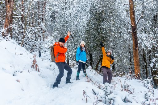 A group of hikers having fun in a snowy forest of the Artikutza natural park in San Sebastian, Basque Country, Spain