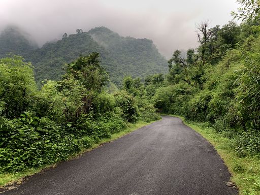 A beautiful shot of a road between small trees in the nature behind the mountains