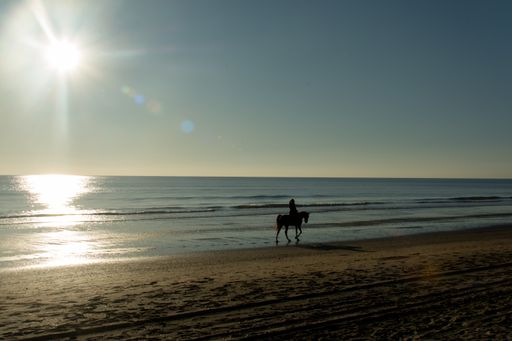 A clos shot of a female riding a horse on the seashore