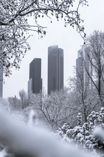 A beautiful shot of a snowy park with the Madrid four towers in the background