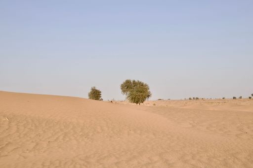 A scenic view of desert against sky under the clear blue sky with the sun shining bright