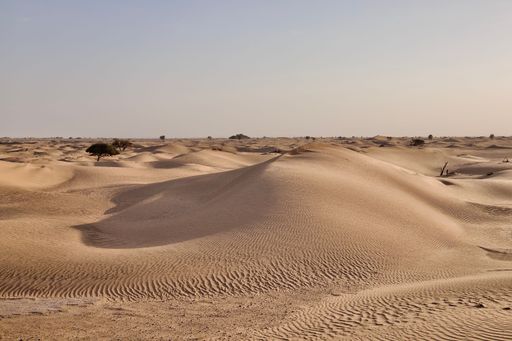 A beautiful shot of a dry brown desert under a clear blue sky