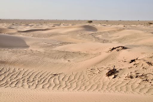 A beautiful shot of a dry brown desert under a clear blue sky