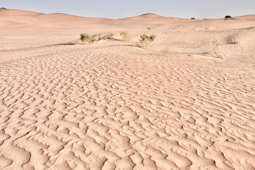 A scenic view of a desert landscape on a sunny day